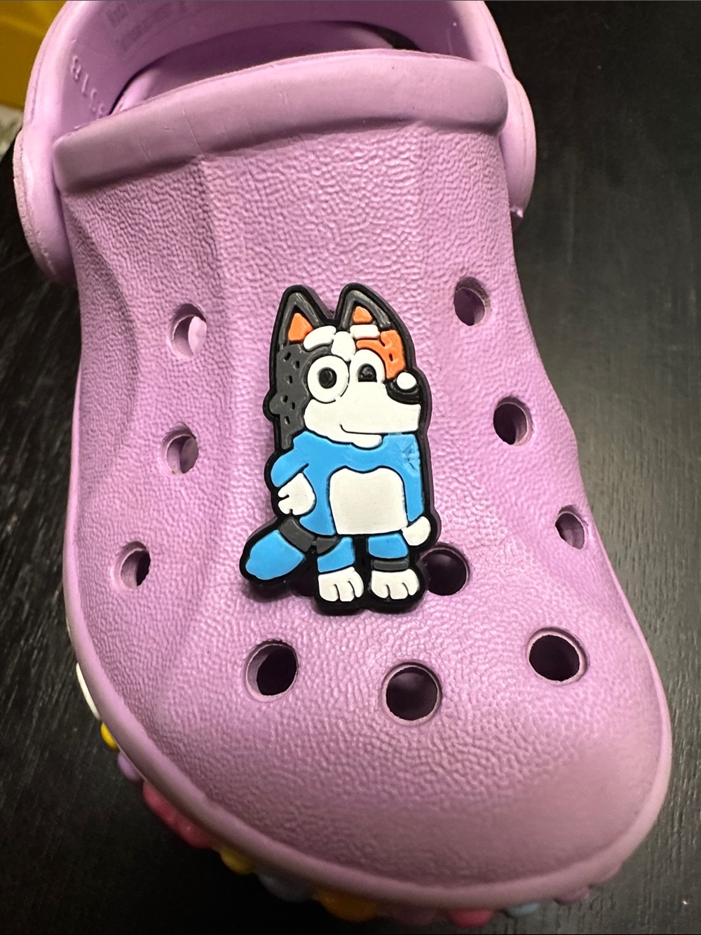 Bluey Cartoon Shoe Charm